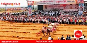 Bullock cart race Thar cart