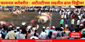 Satyajit Kesari Warunji Bullock Cart Race
