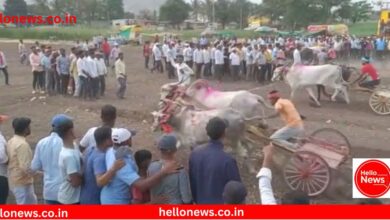 Photo of Satara News : शर्यतीत बैलगाडीची धडक बसल्याने एकाचा मृत्यू