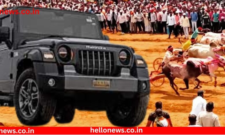 Bullock cart race by Mahindra Thar