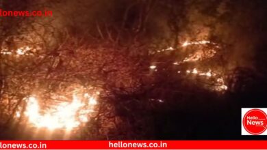 Photo of Video : वराडे येथे लक्ष्मी मंदिर परिसरात भीषण आग