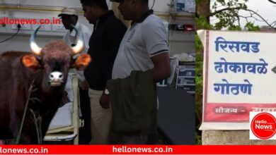 Photo of पाटण तालुक्यात गव्याच्या हल्यात महिलेचा मृत्यू 