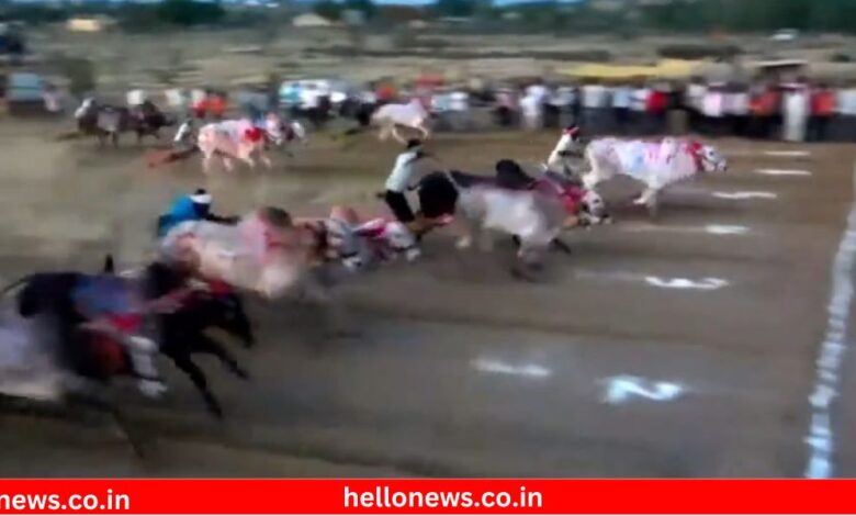 Rustom-e- Hindkesari Sarja bullock cart