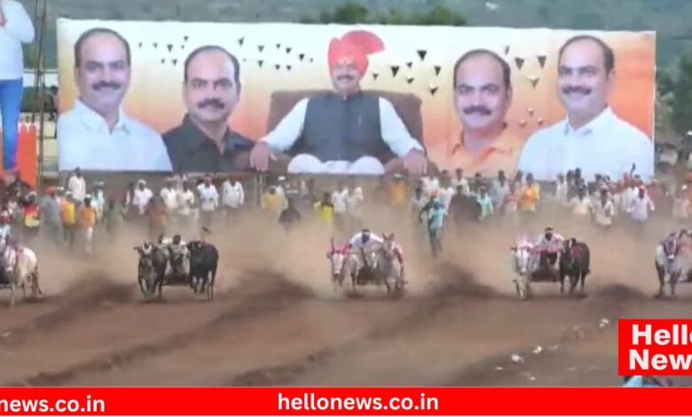 Bullock cart race Manojdada Ghorpade