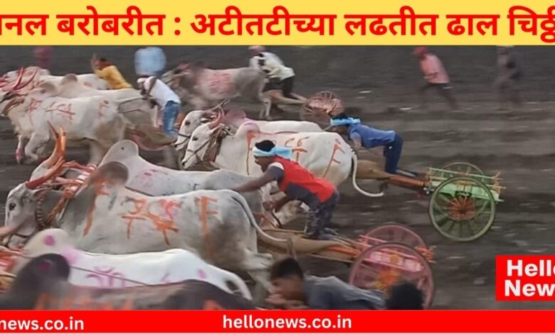 Satyajit Kesari Warunji Bullock Cart Race