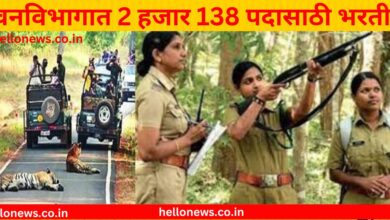 Photo of 10- 12 वी पास नोकरी : वनविभागात 2 हजार 138 पदासाठी भरती होणार