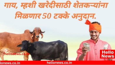 Photo of शेतकऱ्यांनो गाई किंवा म्हैशी खरेदी करा अन् 50 टक्के अनुदान मिळवा