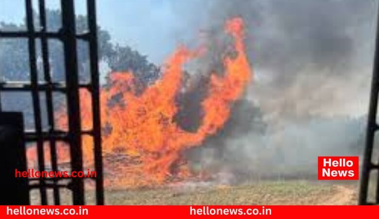 Fire Crime