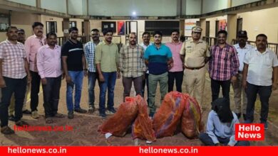 Photo of कराड तालुक्यातील ‘या’ गावात गाजांची लागवड : एकाला अटक