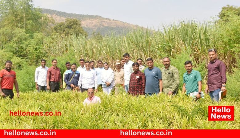 ganja seized Khojewadi