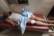 Photo of ओझर्डे धबधबा परिसरात रानगव्याचा तलाठ्यावर हल्ला