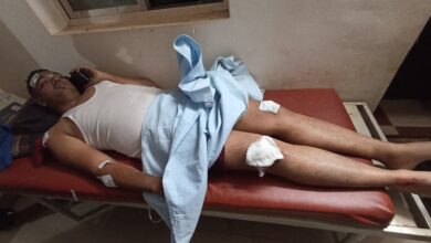 Photo of ओझर्डे धबधबा परिसरात रानगव्याचा तलाठ्यावर हल्ला