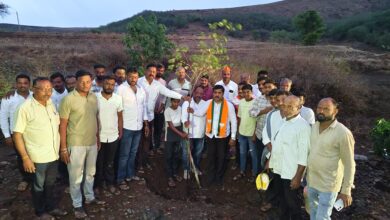 Photo of जागतिक पर्यावरण दिनास घोलपवाडी, शामगावात वृक्षारोपण
