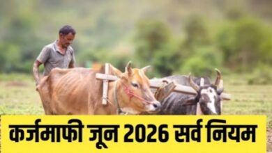 Photo of विशेष लेख : महाकर्जमुक्तीचा ऐतिहासिक निर्णय, कोण पात्र- अपात्र निकष पहा