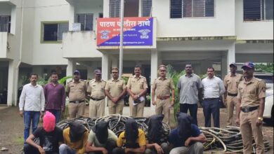 Photo of पवनचक्कीची केबल चोरी करणार्‍या टोळीला अटक : कराड, पाटणच्या चाैघांसह 6 जणांना अटक