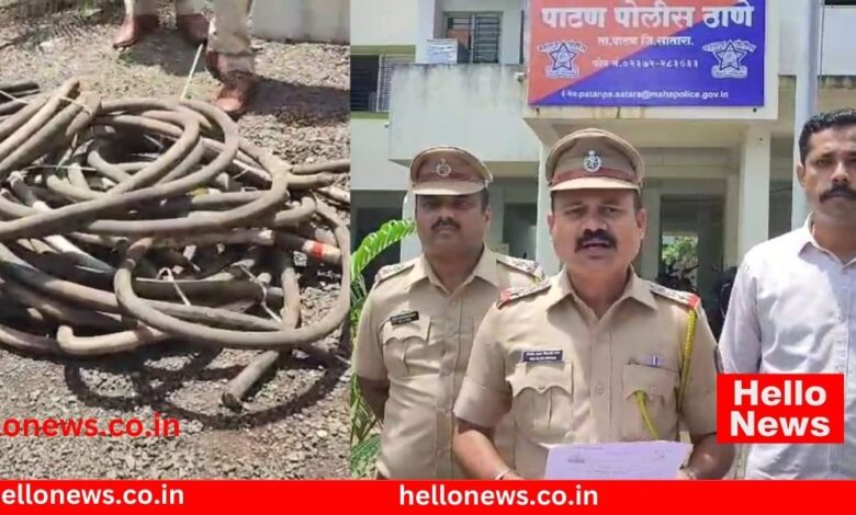 Photo of पवनचक्की तारेची चोरी उघड : कराड, पाटणच्या चाैघांना अटक
